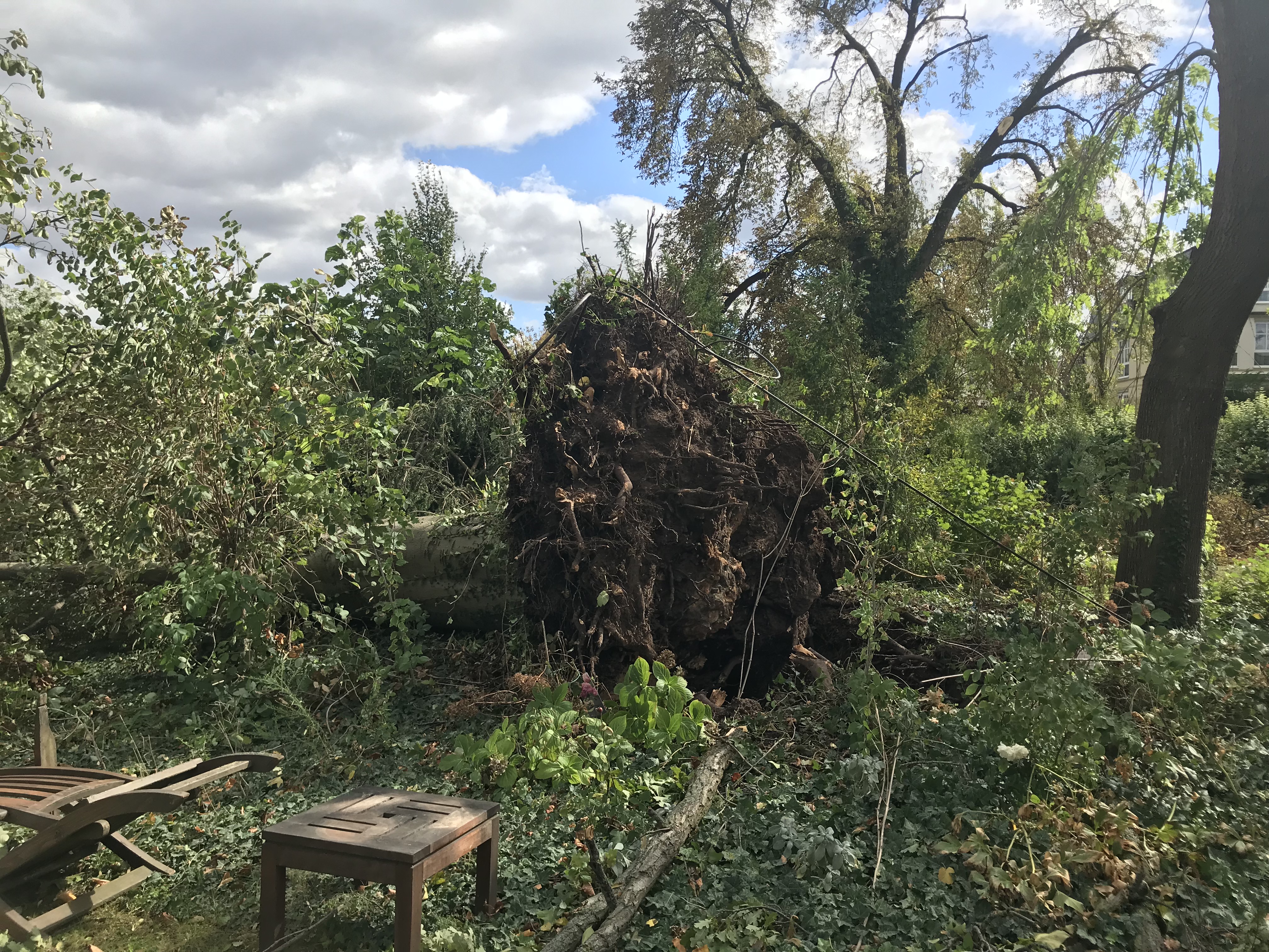 Große Schäden nach Sturm 